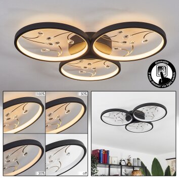 Fombillou Plafondlamp LED Zwart, 1-licht