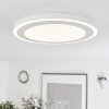 Audrieu Plafondlamp LED Wit, 2-lichts