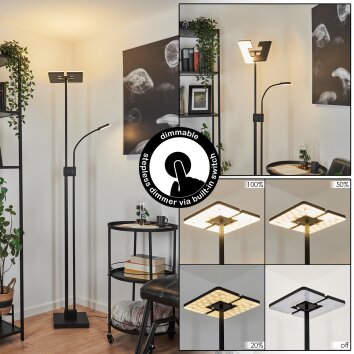 Janze Uplighter LED Zwart, 2-lichts