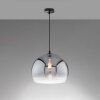 Fischer & Honsel Amos Hanger Zwart, 1-licht