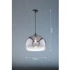 Fischer & Honsel Amos Hanger Zwart, 1-licht