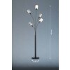 Fischer & Honsel Iska Staande lamp Zwart, 5-lichts