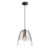 Fischer & Honsel Miro Hanger Zwart, 1-licht