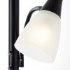 Brilliant Lucy Staande lamp LED Zwart, 2-lichts