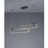 Trio Grant Hanglamp LED Messing, Zwart, 1-licht