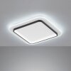 Fischer & Honsel Blithe Plafondlamp LED Zwart, Wit, 1-licht