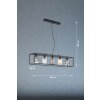 Fischer & Honsel Iska Hanglamp Zwart, 5-lichts