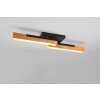 Trio Kerala Plafondlamp LED Zwart, 2-lichts