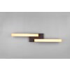 Trio Kerala Plafondlamp LED Zwart, 2-lichts