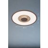 Fischer & Honsel Veit Plafondlamp LED Goud, Roest, 1-licht, Afstandsbediening