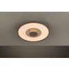 Fischer & Honsel Veit Plafondlamp LED Goud, Roest, 1-licht, Afstandsbediening