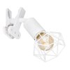 Globo XARA Klemlamp Wit, 1-licht