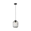 Paul Neuhaus SHITAKE Hanglamp Zwart, 1-licht