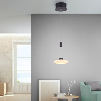 Paul Neuhaus LAUTADA Hanglamp LED Zwart, 1-licht