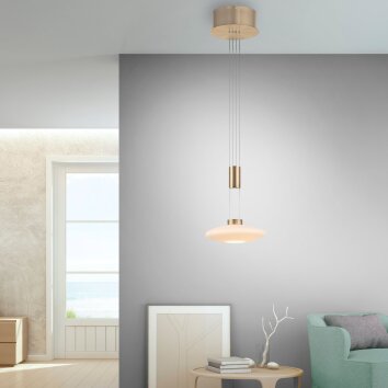 Paul Neuhaus LAUTADA Hanglamp LED Messing, 1-licht