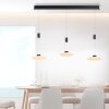 Paul Neuhaus LAUTADA Hanglamp LED Zwart, 3-lichts