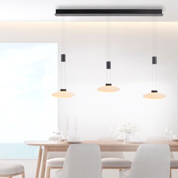 Paul Neuhaus LAUTADA Hanglamp LED Zwart, 3-lichts