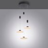 Paul Neuhaus LAUTADA Hanglamp LED Zwart, 3-lichts