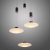 Paul Neuhaus LAUTADA Hanglamp LED Zwart, 3-lichts