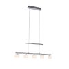 Paul Neuhaus HYDRA Hanglamp LED Staal geborsteld, 5-lichts