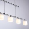 Paul Neuhaus HYDRA Hanglamp LED Staal geborsteld, 5-lichts