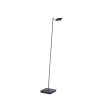 Paul Neuhaus PURE-MIRA Staande lamp LED Zwart, 1-licht, Afstandsbediening