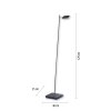 Paul Neuhaus PURE-MIRA Staande lamp LED Zwart, 1-licht, Afstandsbediening