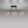 Paul Neuhaus LOOP Plafondlamp LED Messing, Zwart, 3-lichts, Afstandsbediening