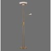 Leuchten-Direkt ZAHARA Uplighter LED Oud messing, 2-lichts