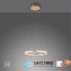 Leuchten-Direkt RITUS Hanger LED Messing, 1-licht