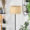 Chenevrey Staande lamp Zwart, 1-licht