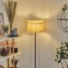 Chenevrey Staande lamp Zwart, 1-licht