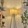 Chenevrey Staande lamp Zwart, 1-licht