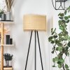 Chenevrey Staande lamp Zwart, 1-licht