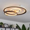 Agordela Plafondlamp LED Goud, Wit, 1-licht