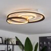 Agordela Plafondlamp LED Goud, Wit, 1-licht