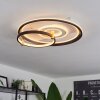 Agordela Plafondlamp LED Goud, Wit, 1-licht