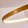 Canisteo Hanger LED Goud, 1-licht