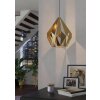 Eglo CARLTON Hanger Goud, 1-licht