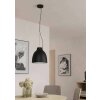 Eglo CAMASCA Hanger Zwart, 1-licht