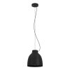 Eglo CAMASCA Hanger Zwart, 1-licht