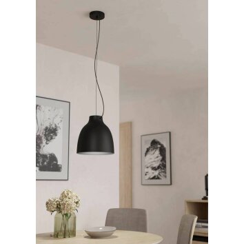 Eglo CAMASCA Hanger Zwart, 1-licht