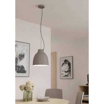 Eglo CAMASCA Hanger Taupe, 1-licht