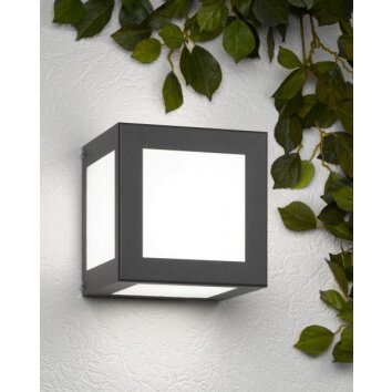 CMD Aqua Cubo Muurlamp Antraciet, 1-licht