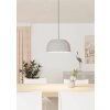 Eglo CONTRISA Hanger Grijs, 1-licht