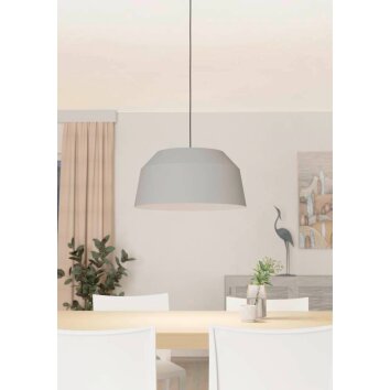 Eglo CONTRISA Hanger Grijs, 1-licht