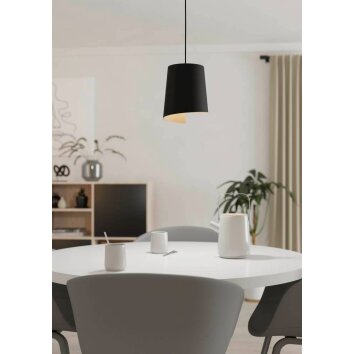 Eglo BOLIVIA Hanger Zwart, 1-licht