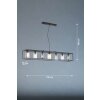 Fischer & Honsel Iska Hanglamp Zwart, 7-lichts