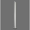 Paul Neuhaus PURE-LINES Staande lamp LED Aluminium, 1-licht, Afstandsbediening