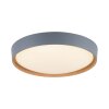 Paul Neuhaus Q-EMILIA Plafondlamp LED Grijs, houtlook, 1-licht, Afstandsbediening